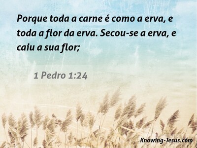 1 Pedro 1:24 Abrasão (white)